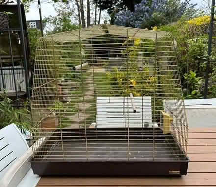 Photo of free Bird Cage (Southborough BR2) #2