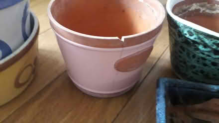Photo of free Assorted china plant pots (Boston Manor Ealing W13) #1