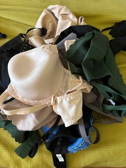 Photo of free Aerie and Simone Perele Bras 36D (Lower East Side) #1