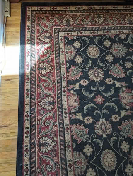 Photo of free 8' x 11' Rectangle Area Rug (Lenni Rd near Rt 452) #2