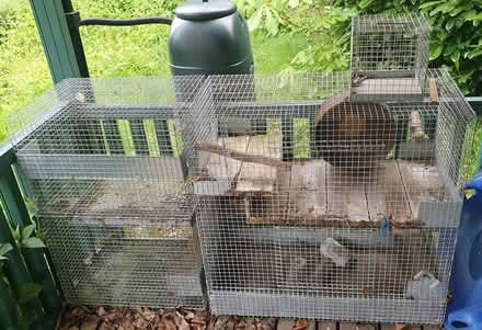 Photo of free Degu / small animals cages (Farnham Common SL2) #1