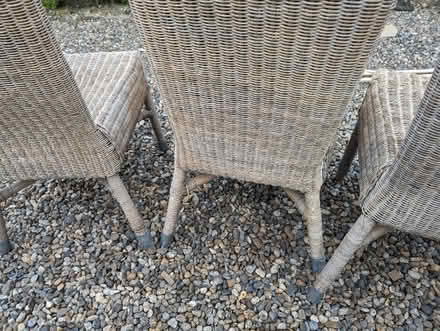 Photo of free 2 or 4 whicker (cane) chairs - good condition (Greystoke CA11) #3