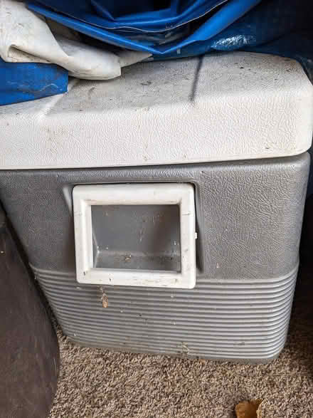 Photo of free Pool and Accessories (Main St - Pleasant Ln Lombard) #4