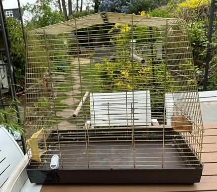 Photo of free Bird Cage (Southborough BR2) #1