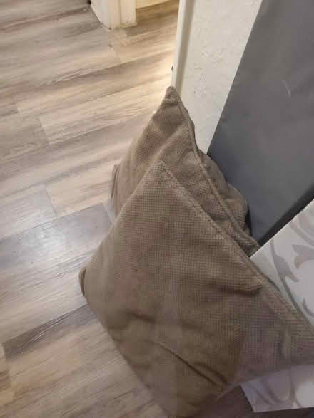 Photo of free couch pillows and long pictures (Montgomery and Louisiana) #2