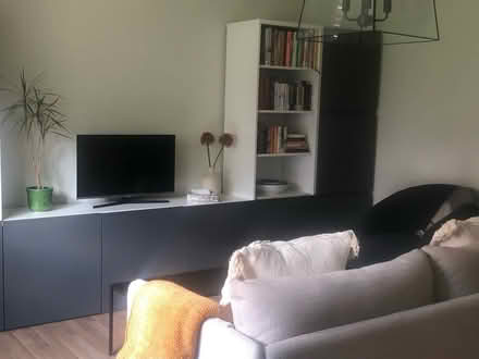 Photo of free IKEA besta unit (Furzedown SW16) #1