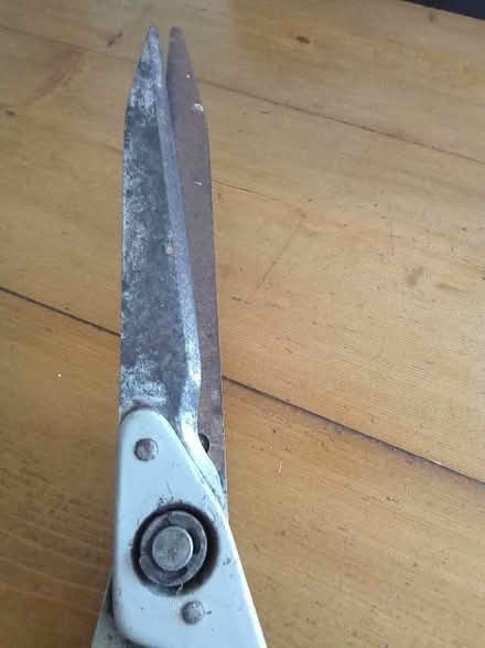 Photo of free Vintage Garden Hedging Shears (Catherine-de-Barnes B91) #2