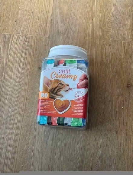 Photo of free Cat creamy (Bracknell, RG12) #1