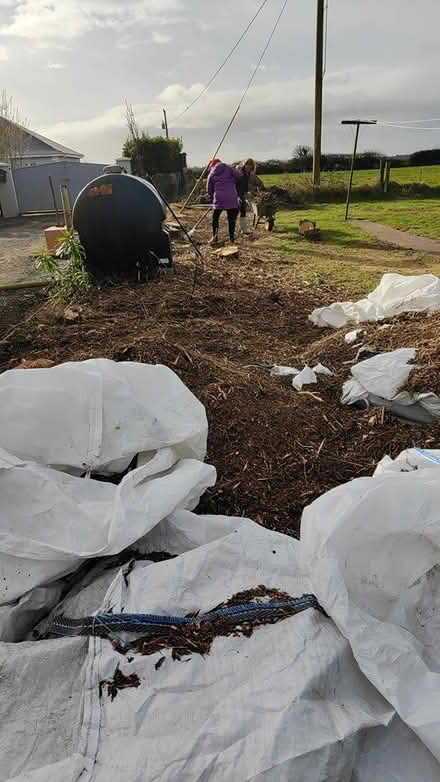Photo of free Garden mulch / chippings (Enniscorty) #1