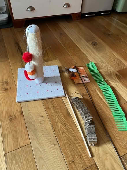 Photo of free Cat bits and bobs (E2) #1