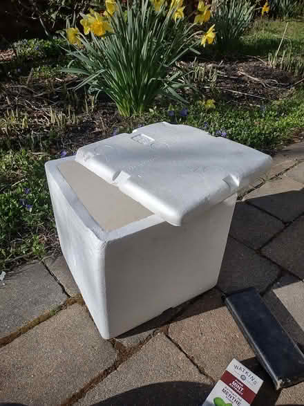 Photo of free small styrofoam cooler (Watertown) #1