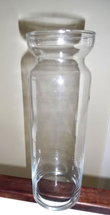 Photo of free Tall glass jar for an orchid. (The Folly BN7) #1
