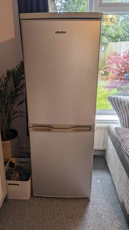 Photo of free Fridge freezer (Liss) #1