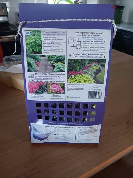Photo of free 8 Shade Loving Hostas (New Haven-Westville) #1