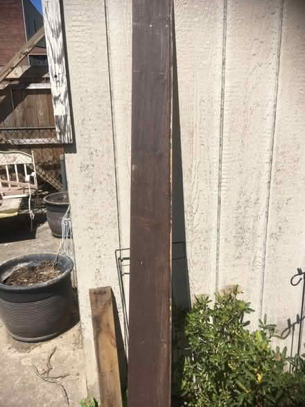 Photo of free tonge & groove boards (Bronx) #1