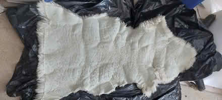 Photo of free sheep skin (Chatham ME4) #2