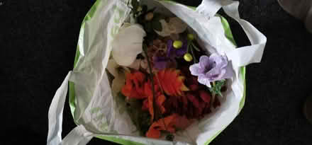 Photo of free Bag of plastic flowers (Robinswood GL4) #1