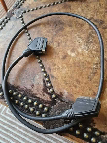 Photo of free Scart lead (Ilford IG1) #1