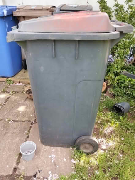 Photo of free Wheelie bin (BT5) #3