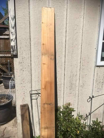 Photo of free tonge & groove boards (Bronx) #2