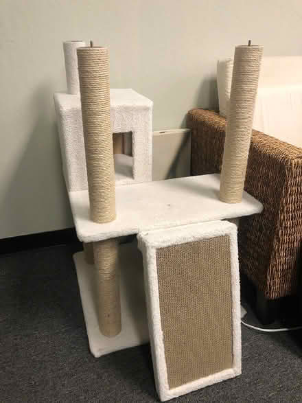 Photo of free Cat tree (Hayward) #1