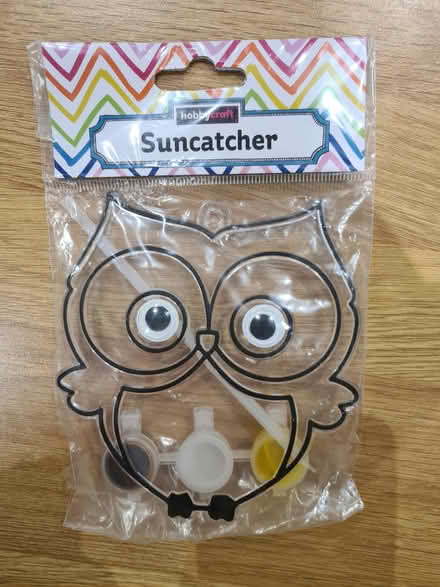Photo of free Hobbycraft Owl Suncatcher (Didcot OX11) #1