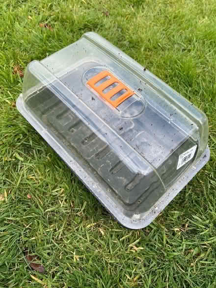 Photo of free 38cm propagator (Knutsford WA16) #1