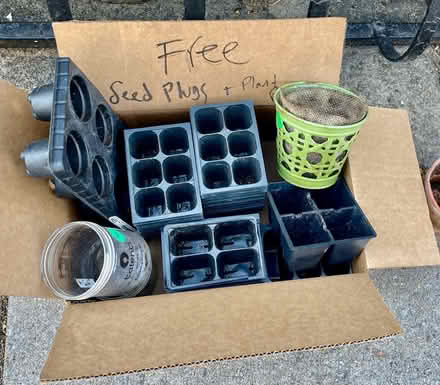 Photo of free Seed plugs, seedling pots (Ridgewood NY) #1