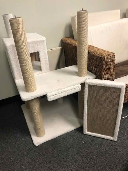 Photo of free Cat tree (Hayward) #2