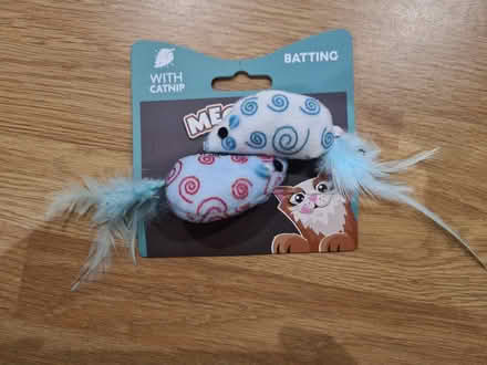 Photo of free Catnip feather mice (Didcot OX11) #1