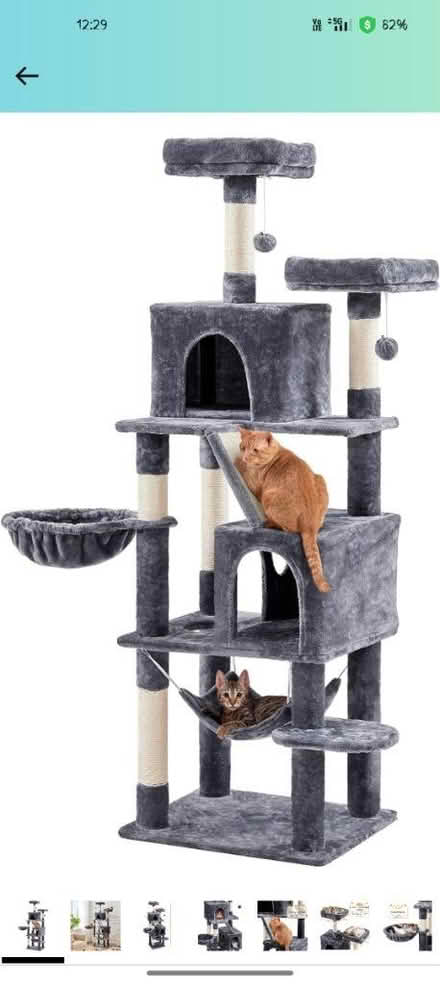 Photo of free Tall cat tower (CO2 Colchester) #3