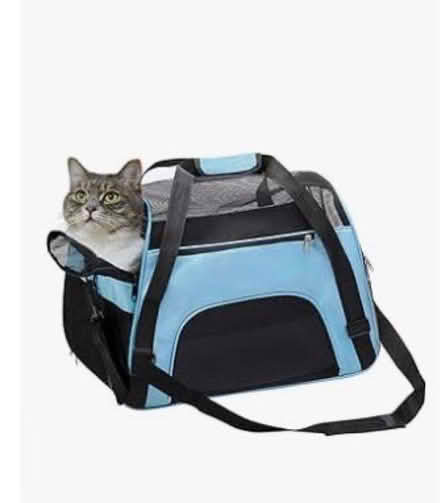 Photo of Bags for Cat / Pet carrier (Princes street EH2) #1