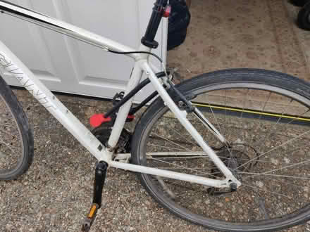 Photo of free Adult Bike (Emsworth PO10) #3