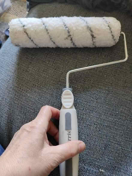 Photo of free Painting roller (Lightpill GL5) #1