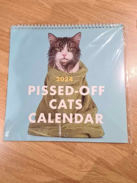 Photo of free Grumpy cat calendar 2024 (Didcot OX11) #1