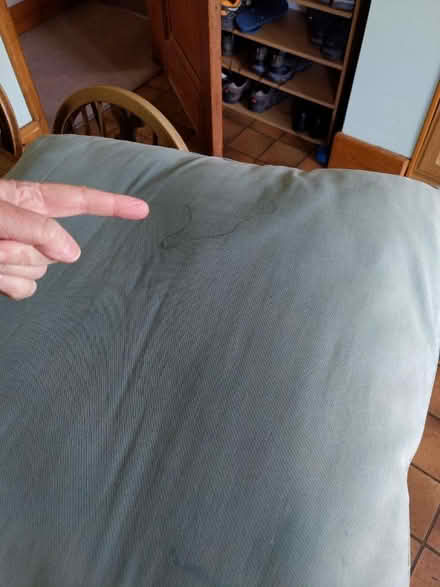 Photo of free Two large floor cushions (Cassiobury, Watford WD17) #4