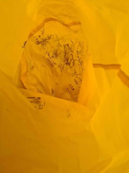 Photo of free 5 litre dry bag (Didcot OX11) #3