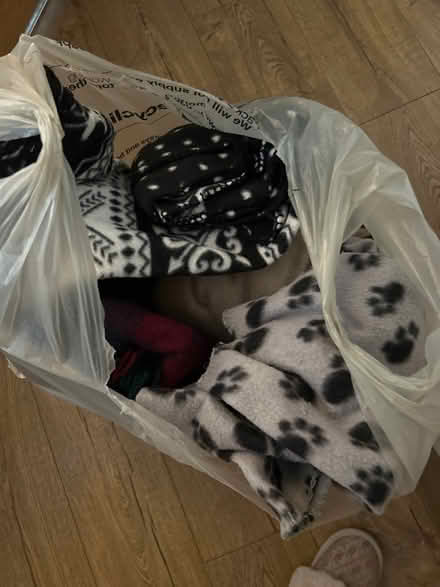 Photo of free Bag full of cat or dog blankets (Didcot OX11) #1