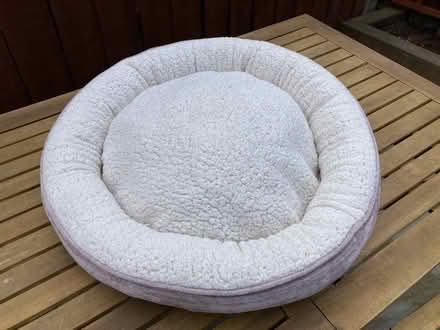 Photo of free Cat bed (E17) #1