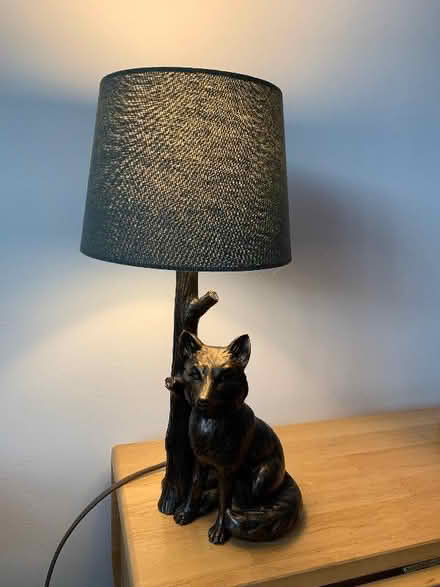 Photo of free Lamp (Harold Wood RM3) #2