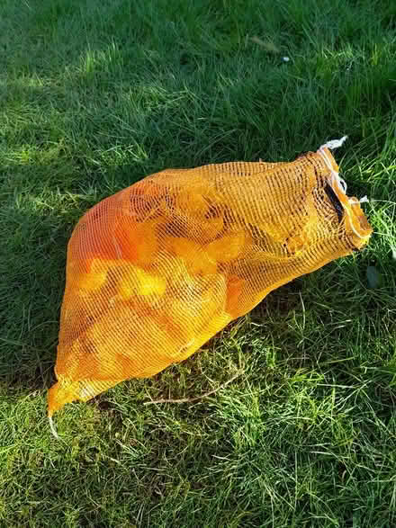 Photo of free Plastic net bags (SW Edinburgh EH14) #1