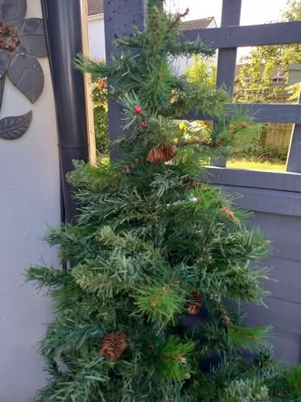 Photo of free Christmas tree (Hucclecote) #1