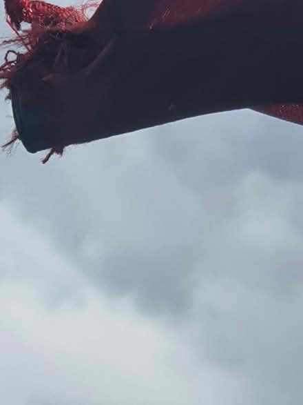 Photo of free Cantilever garden parasol (S2 wybourn) #4