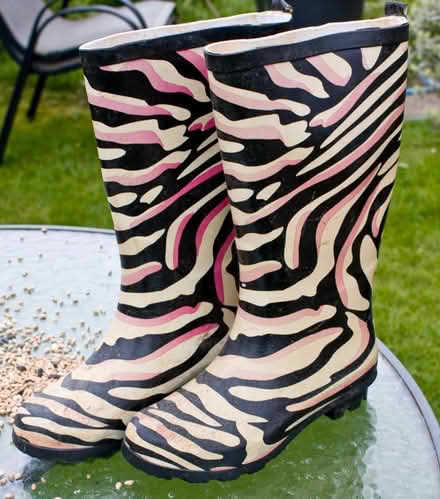 Photo of free Child's Wellington Boots (Browns Hill GL6) #1