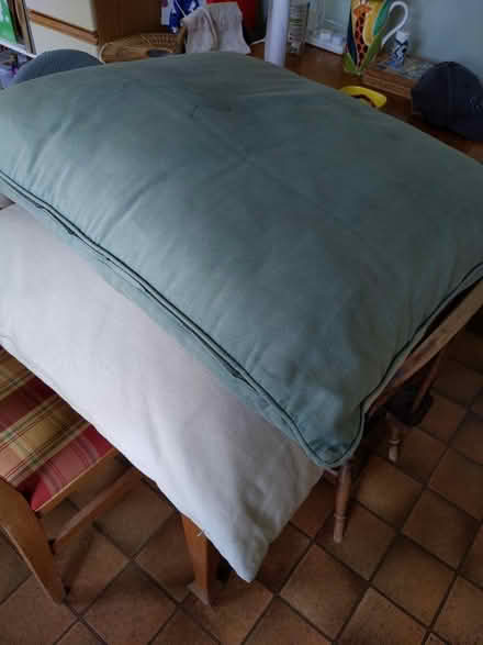 Photo of free Two large floor cushions (Cassiobury, Watford WD17) #1