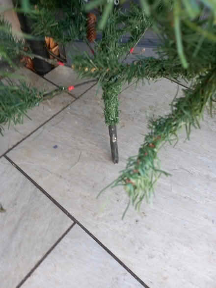 Photo of free Christmas tree (Hucclecote) #2