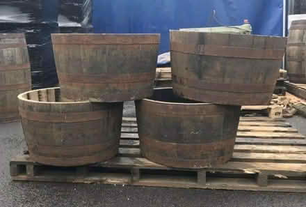 Photo of Huge pot (RG1) #1