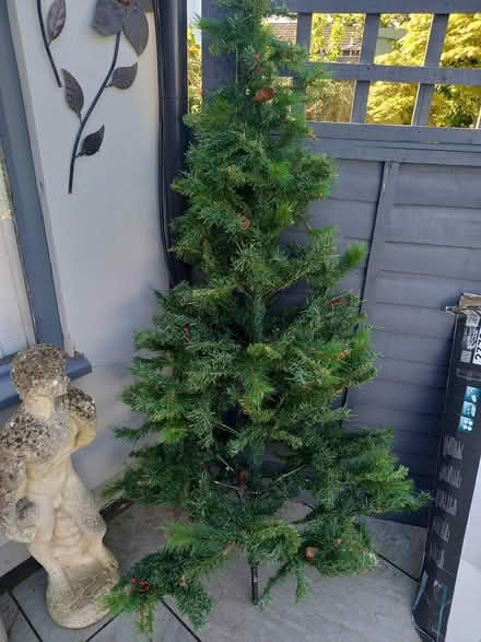 Photo of free Christmas tree (Hucclecote) #3