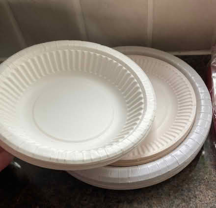 Photo of free Paper plates and bowls/red paper napkins (Kingston Bagpuize OX13) #1