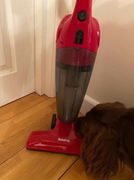 Photo of free Electric Beldray lightweight vacuum (Hinton Martell, Wimborne) #2
